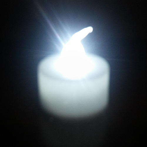 제이엘에프앤씨 LED전기초24개입(흰색불빛-박스포장)